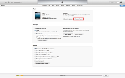 iTunes Summary, Restore iPad